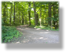 Naturschutzgebiet Prie�nitzer Wald