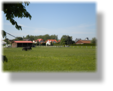 Siedlung Prie�nitz