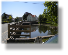 Dorfteich